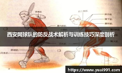 365WM完美体育官网