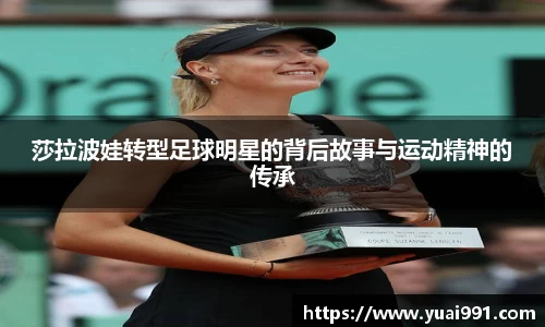 365WM完美体育官网