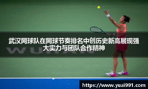 365WM完美体育官方app