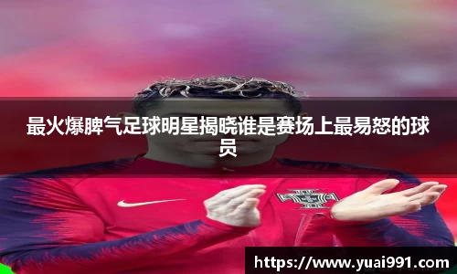 365WM完美体育官网